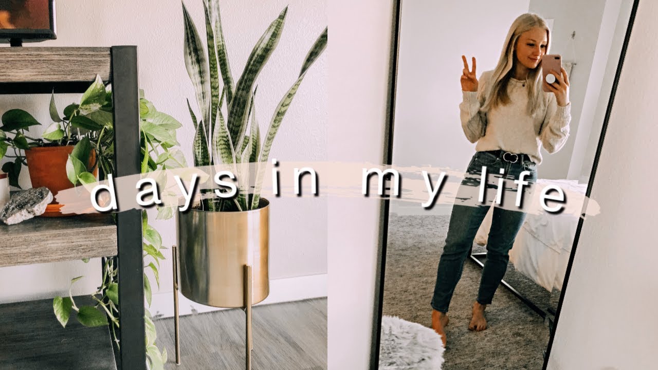 college days in my life: tests, cleaning, + plant tour