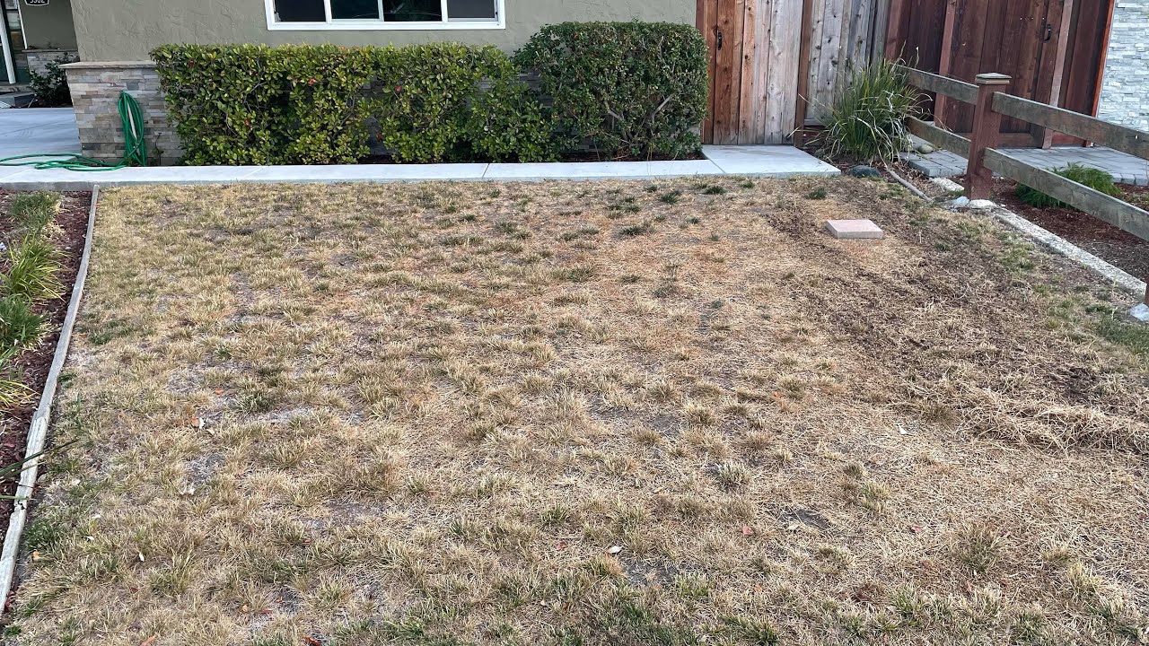 Front lawn makeover