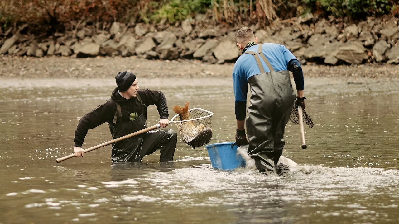 Výlov rybníka Vlachovský důl