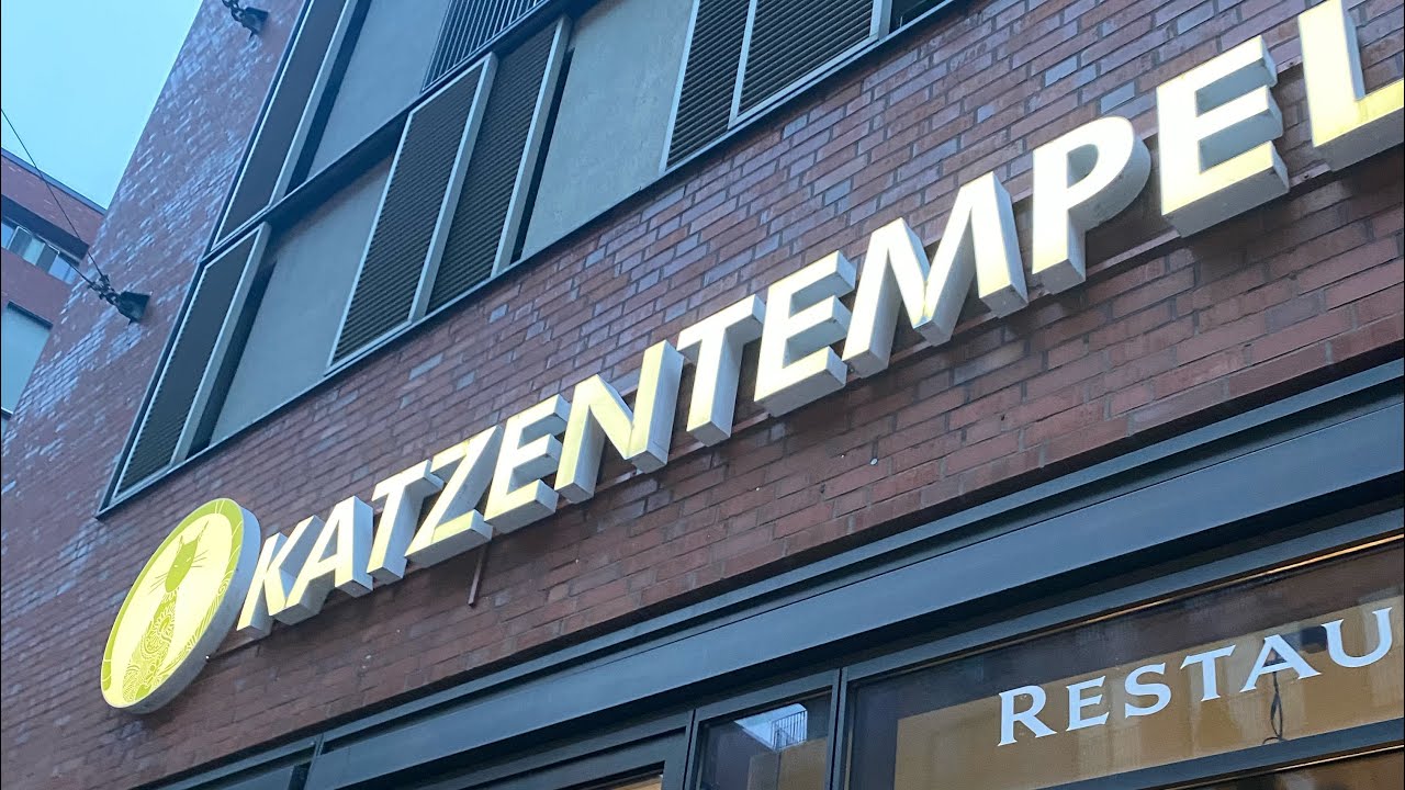 Katzentempel | Cat cafe | Hamburg | Hafencity