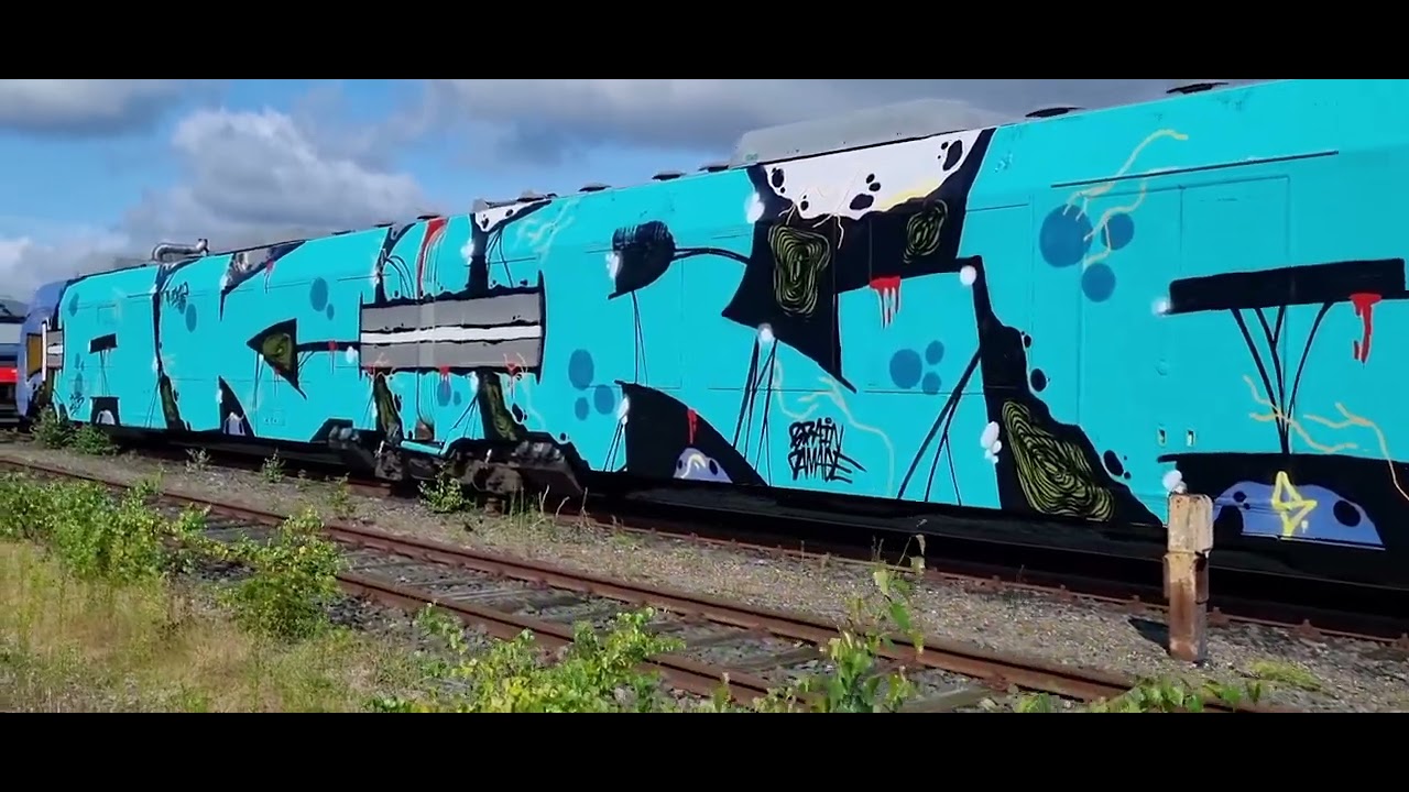 Trainspotting in Norddeutschland! Stand: 04.08.24 R10 AKIRA SUPER Wholcars