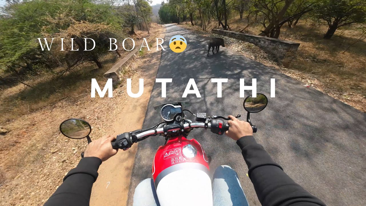 Muthathi: The Most Scenic Spot Near Bangalore