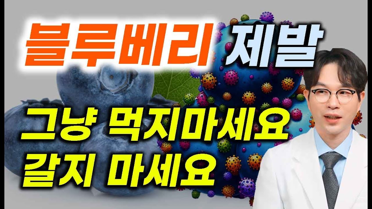 블루베리,  제발 그냥 먹지 마세요, 중풍 뇌혈관 치매 질환 때려잡는 최고의 과일 이렇게 드세요.
