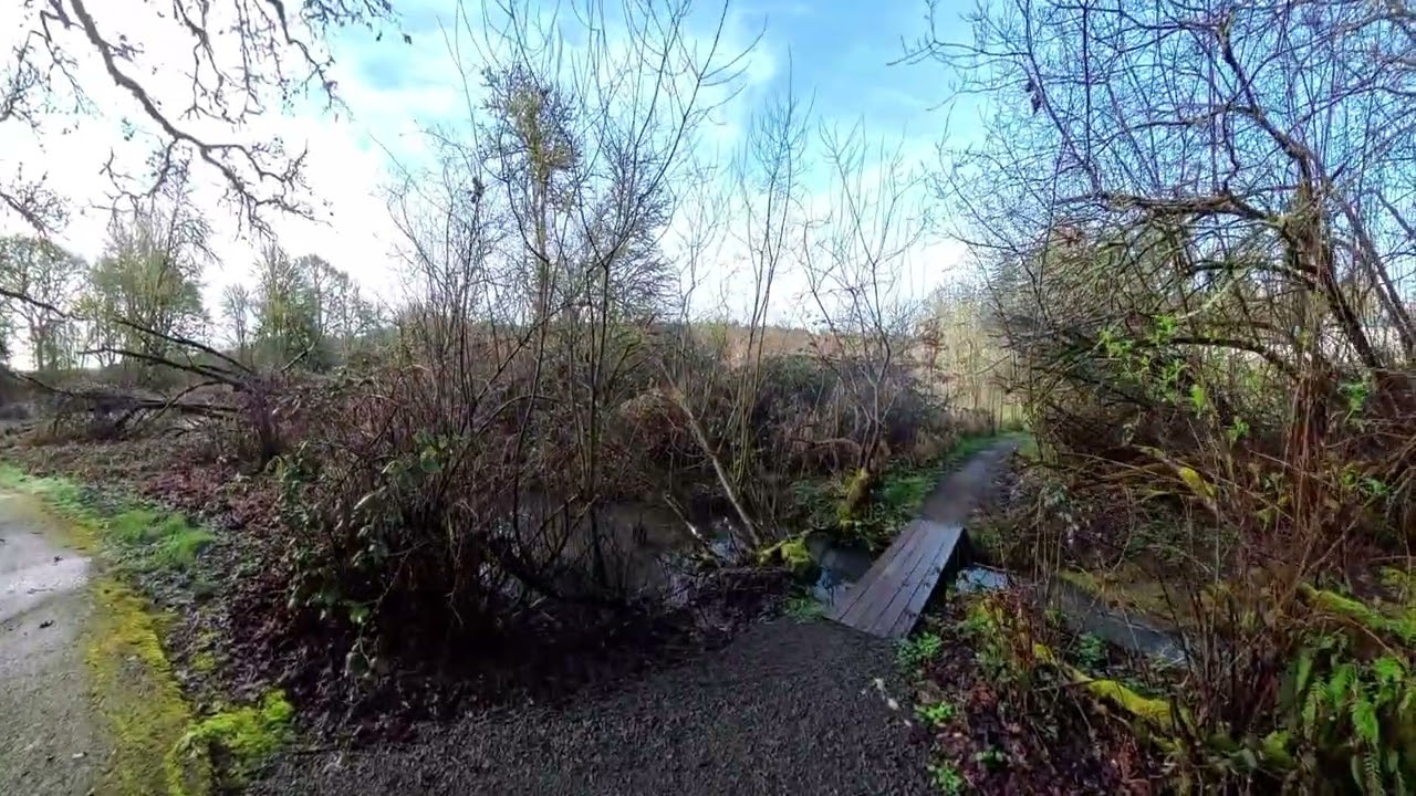 East Fork Lewis River floods again March 14 2026