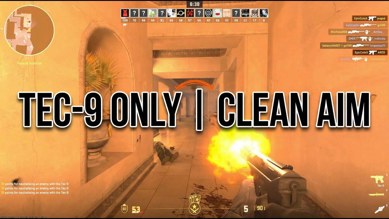 Tec-9 Only DM CS2