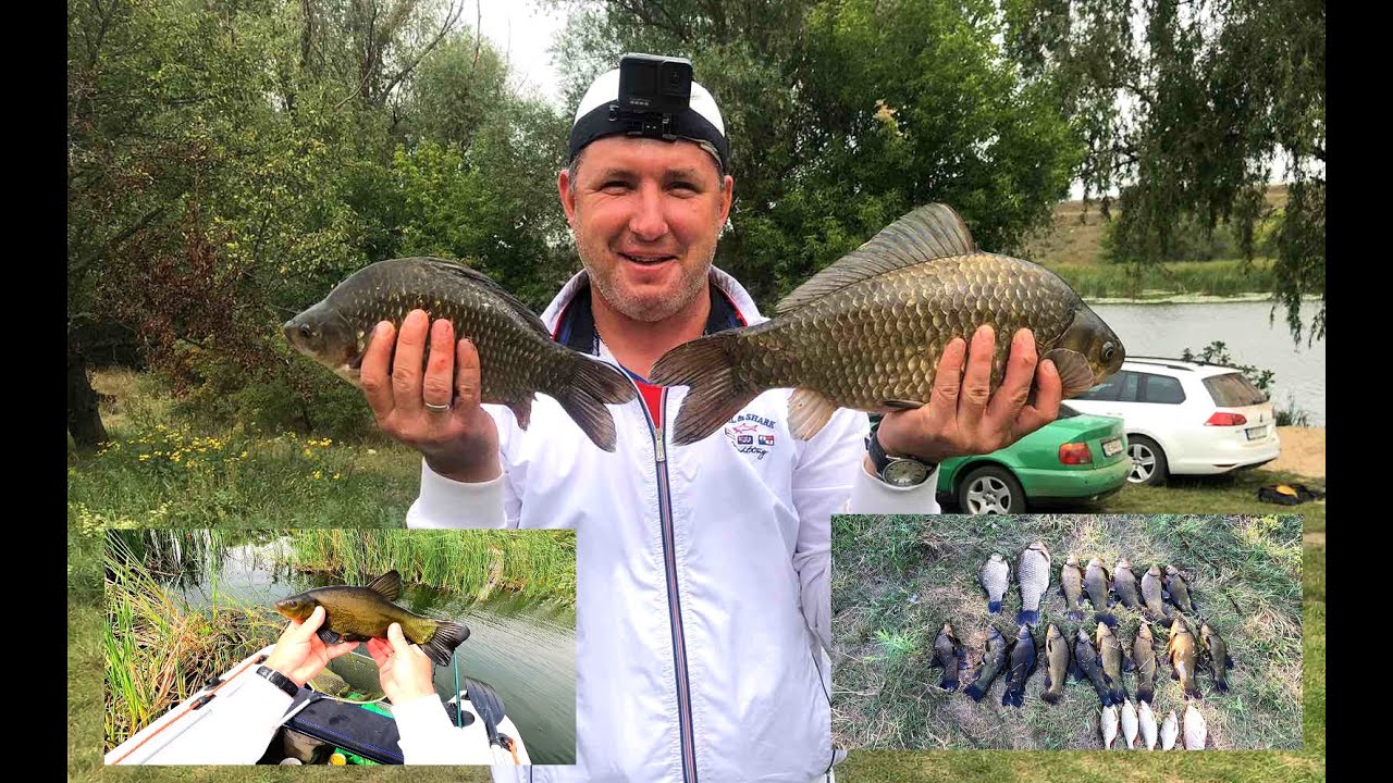 Лини і карасі розривають кивок!!! Боковий кивок р. Синюха
