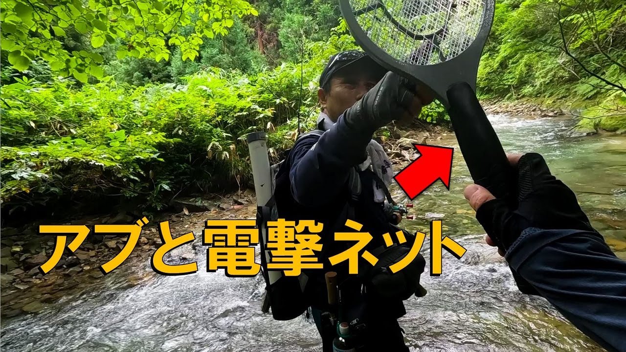 【渓流ルアー】真夏の渓流のアブに電撃ネットを使ったらヤバかった