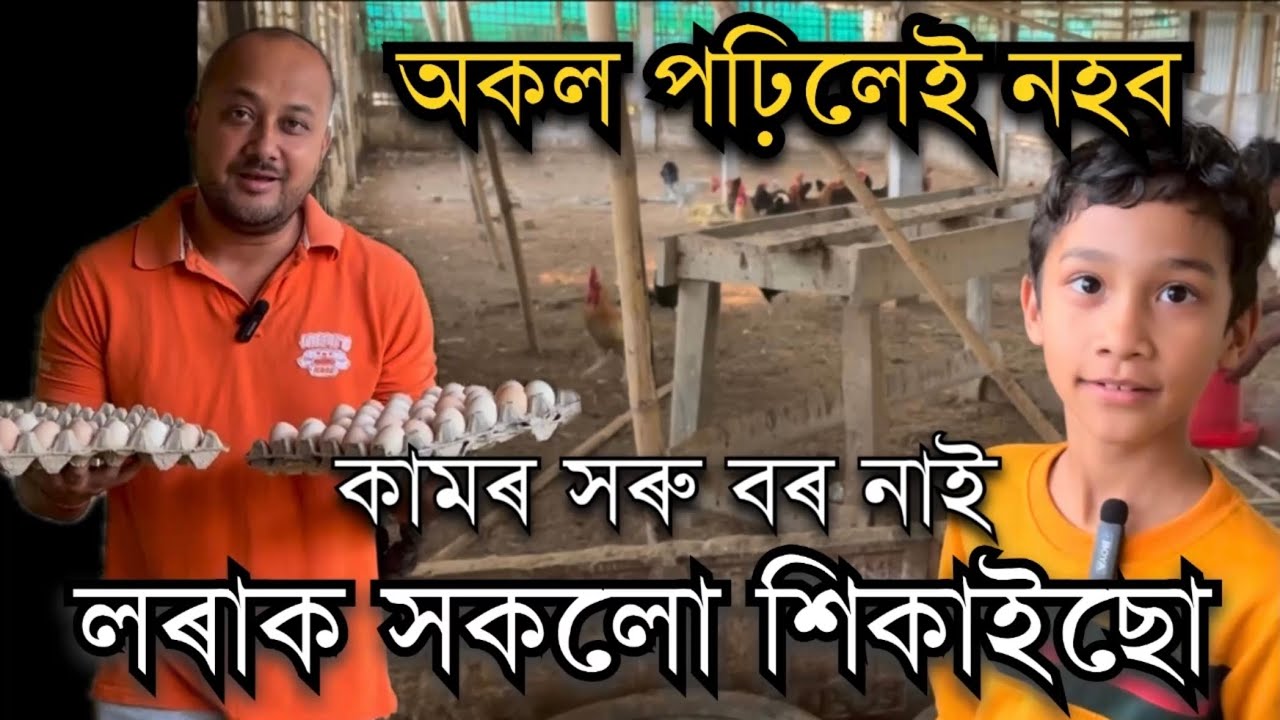 লৰাক সকলো শিকাইছো।Chicken Farm।Nursery in Assam। Agarwood Plants wholesale।Mahogany plants wholesale