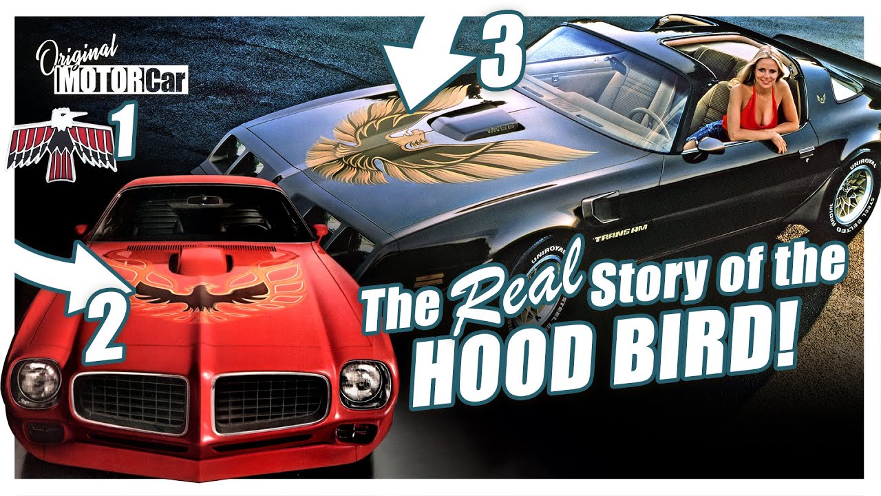 НАСТОЯЩАЯ история Pontiac Firebird Hood Bird!