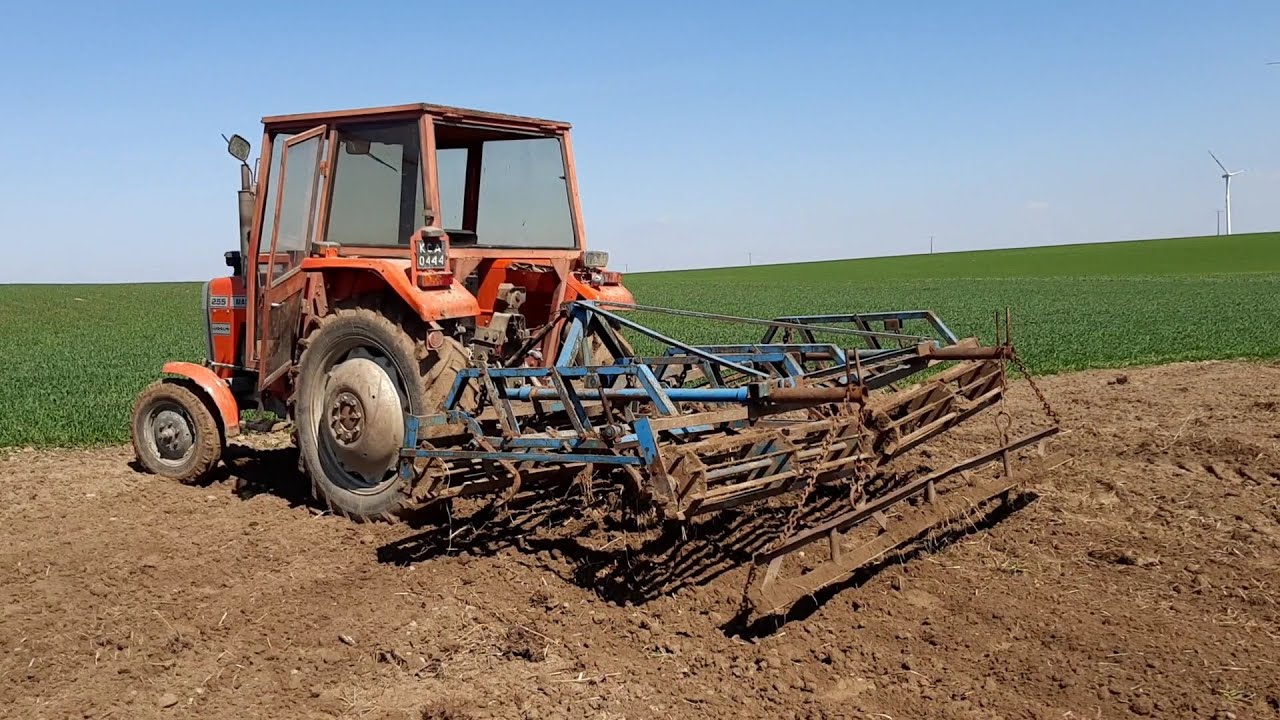 MF255 kontra agregat uprawowy 4m