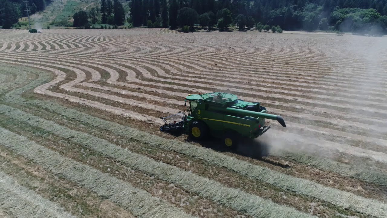 Grass Seed Harvest 2017