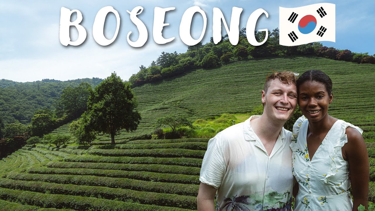 Korea's BEST Tea Fields | Boseong, South Korea