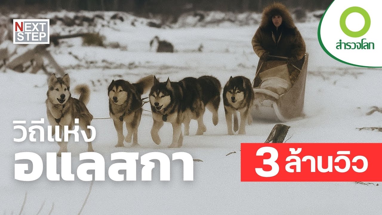 วิถีแห่งอแลสกา - อยู่ได้อย่างไร? สัมผัสวิถีชนพื้นเมืองในอะแลสกา | สารคดี สำรวจโลก