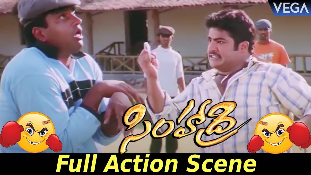 Simhadri Movie Action Scenes || Jr Ntr Mass Fight Scene with Ravi Babu for Insulting Nassar