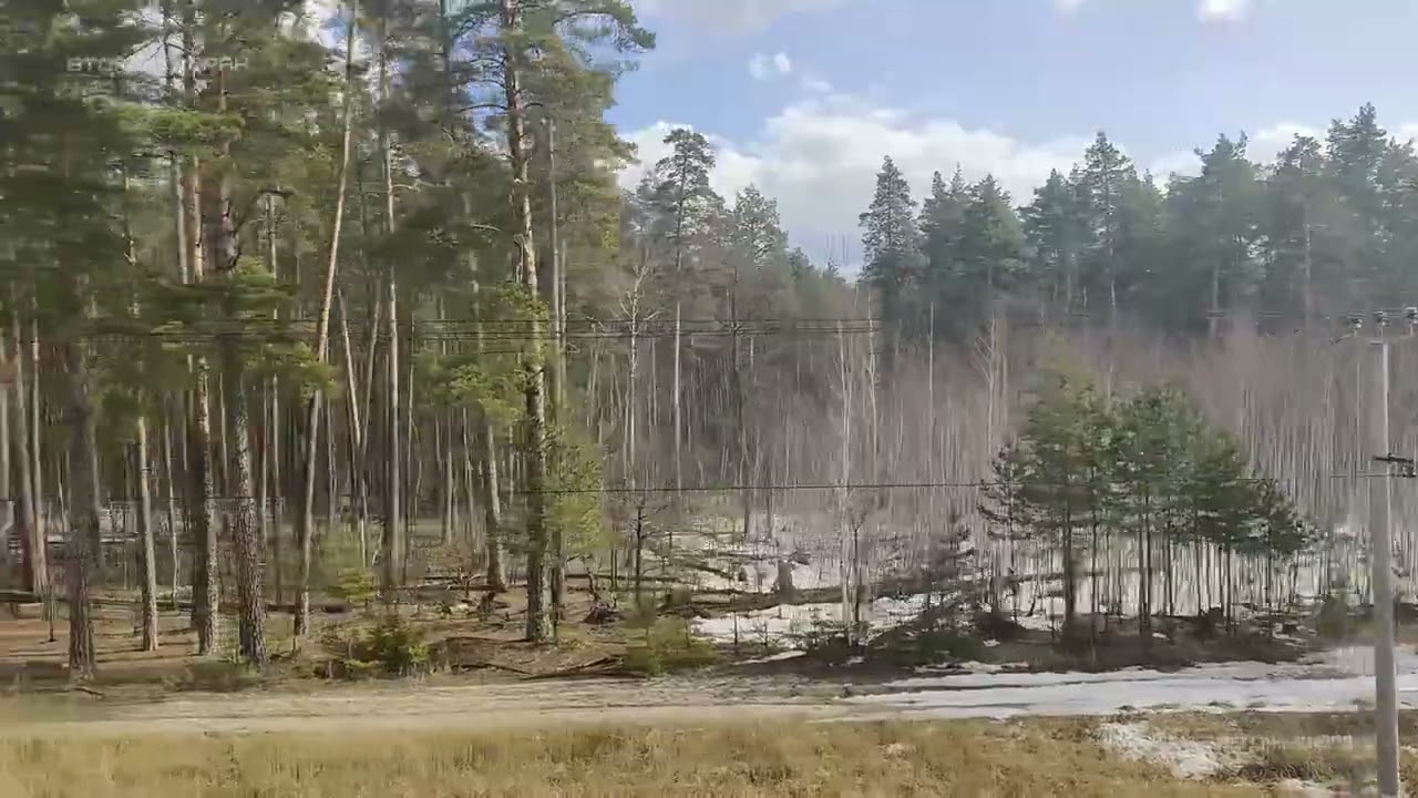 Вид из окна поезда на российские пейзажи. Почувствуй себя пассажиром. #Железнодорожное Второй экран