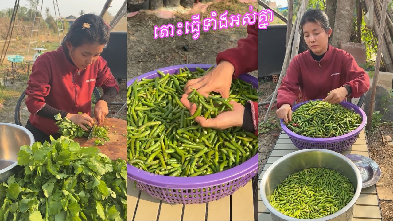 របៀបធ្វើទឹកត្រីល្ងម្ទេសខ្ចី ប្រចាំតូប។​ #cooking #ChiliSauce #food