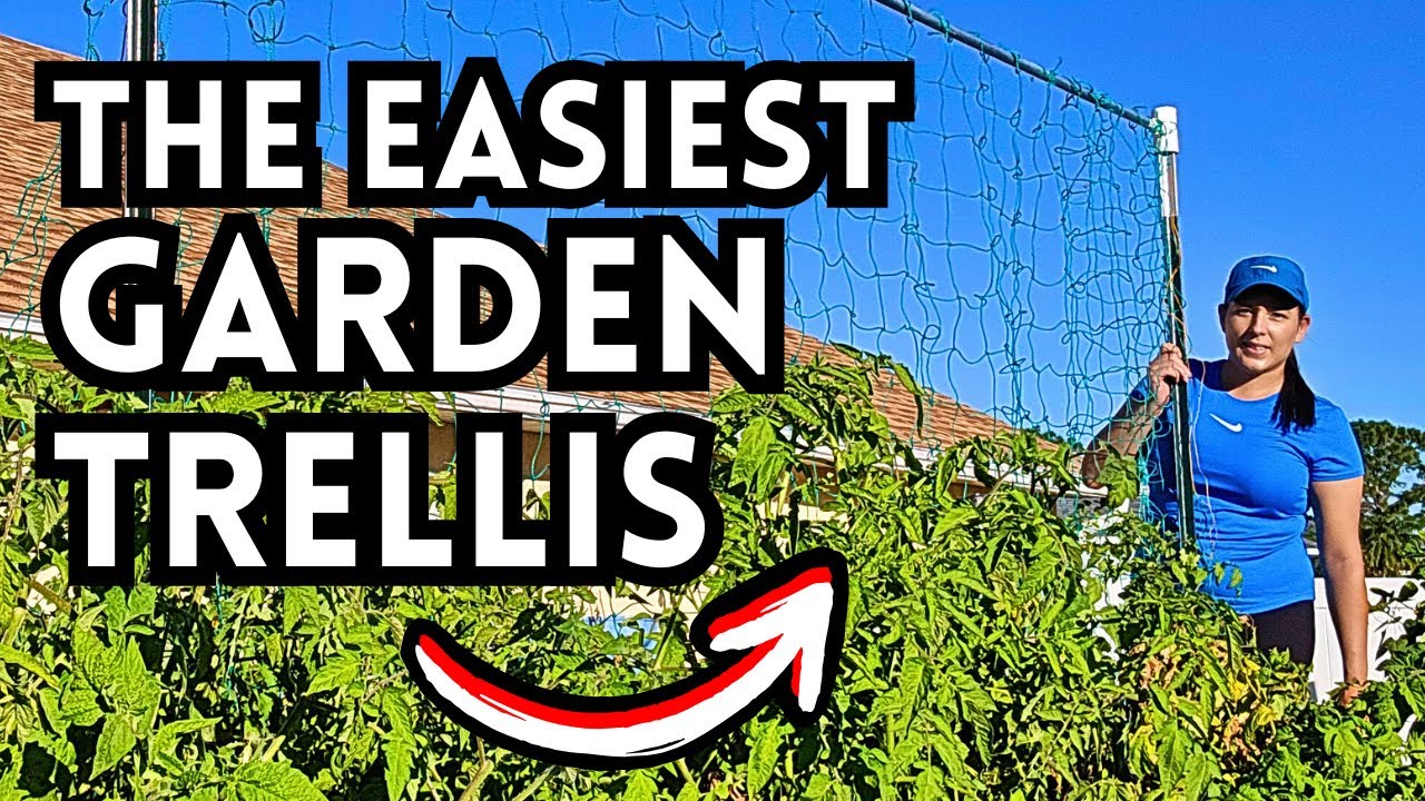 DIY Vertical Garden Trellis: Easy, Strong, Inexpesnive, & Supports Any Vegetable Crop