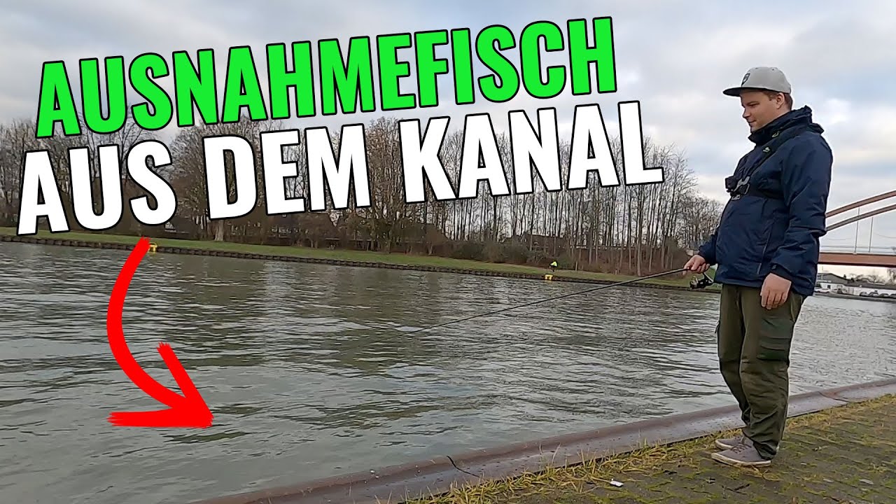 Ausnahmefisch aus dem Kanal! || Angeln am Dortmund Ems Kanal || Pantoffel angelt