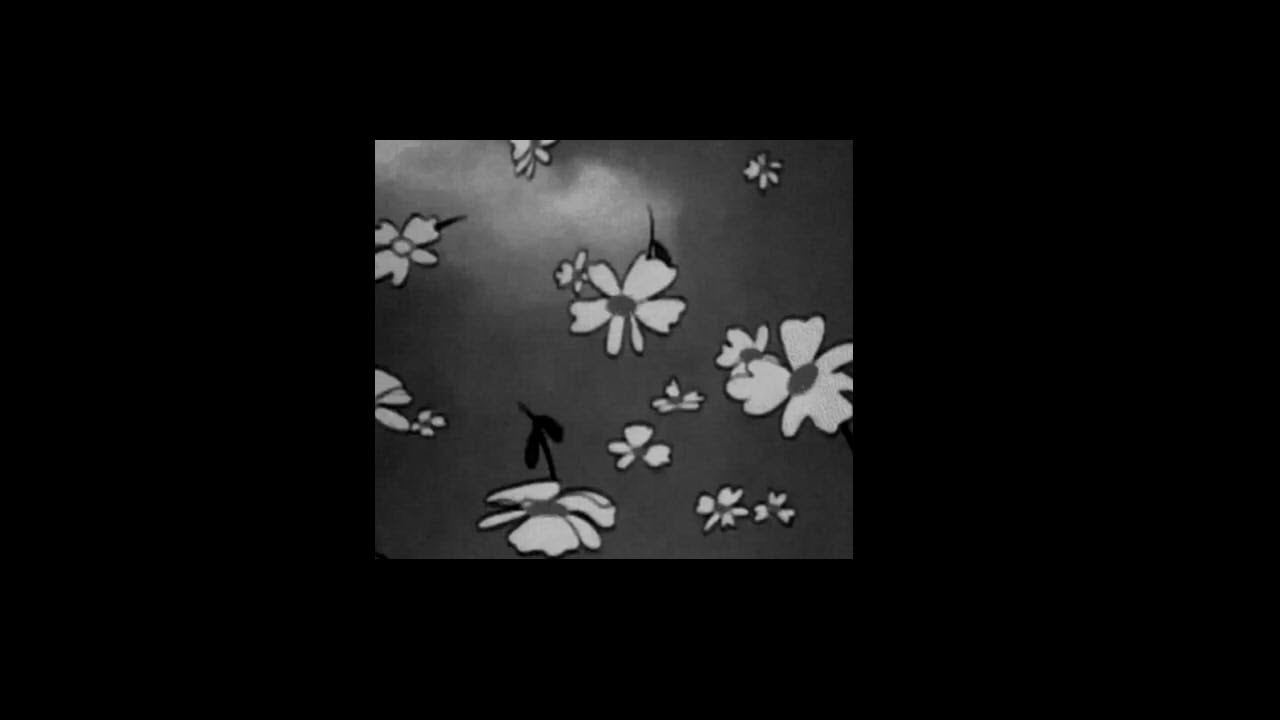the cab- angel with a shotgun [slowed + reverb]