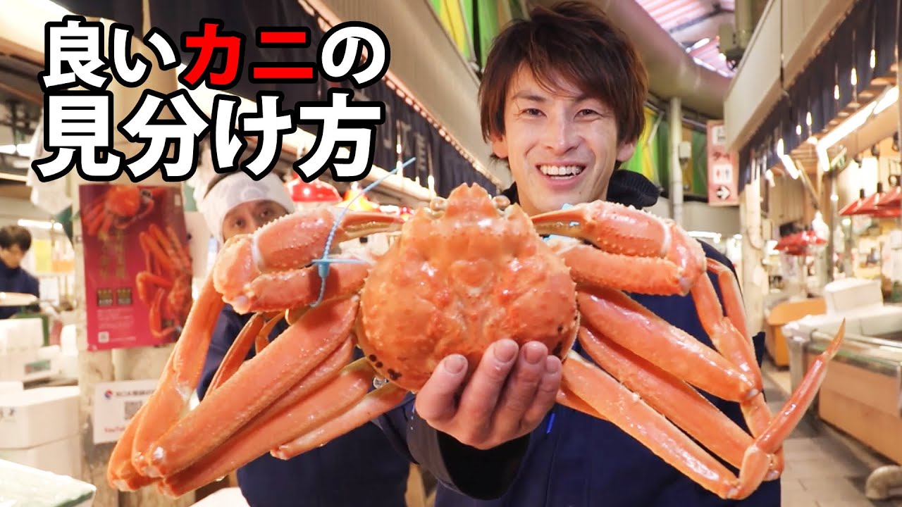 【驚愕】市場のプロが教える美味しい！安い！カニの見分け方(ズワイガニ/ 毛ガニ/香箱ガニ/タラバガニ)