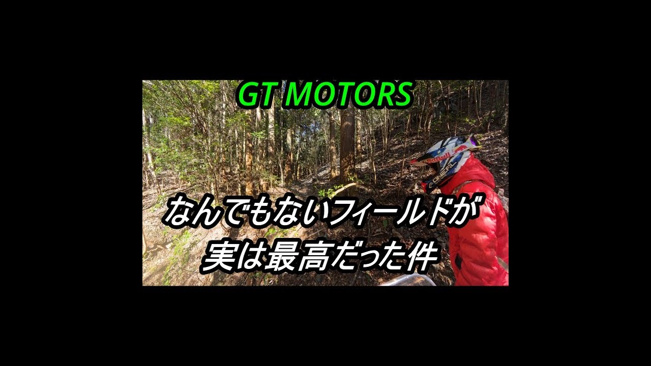 美濃加茂市林道　なんでもない林道が徐々に最高だった件