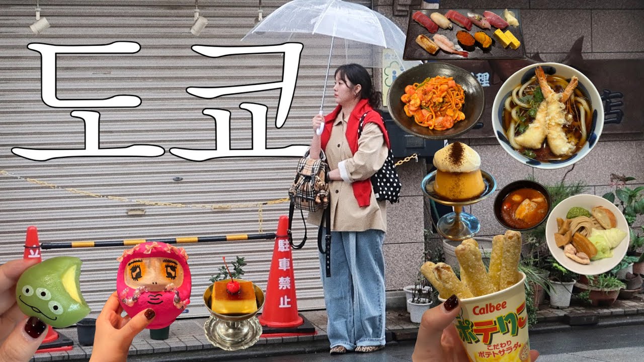 나혼자 도쿄🗼: 힐링이 필요해.. 감성 터지는 근교여행부터 디즈니랜드, 초면의 일남에게 추천받는츠케멘 맛집까지⭐️도쿄 주말여행 야무지게 팸👊🏻