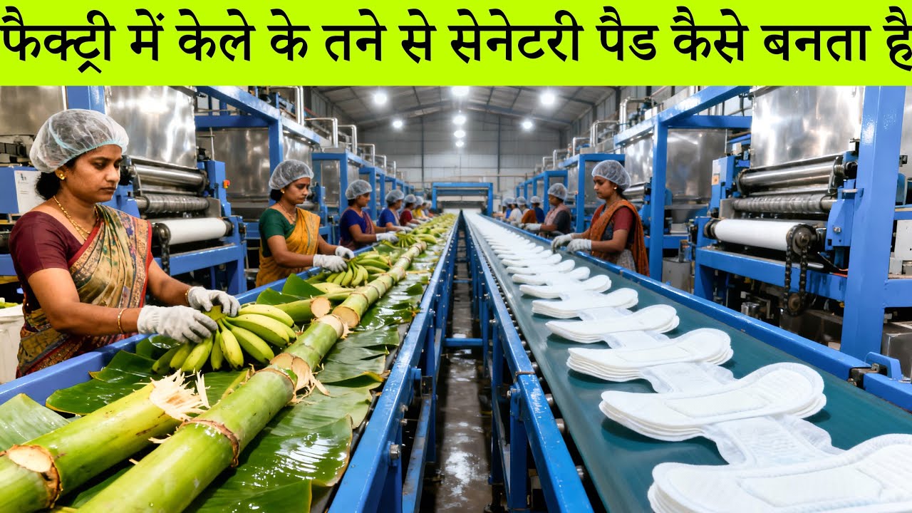केले के तने से सेनेटरी पैड कैसे बनता है? फैक्ट्री का अंदरूनी सच