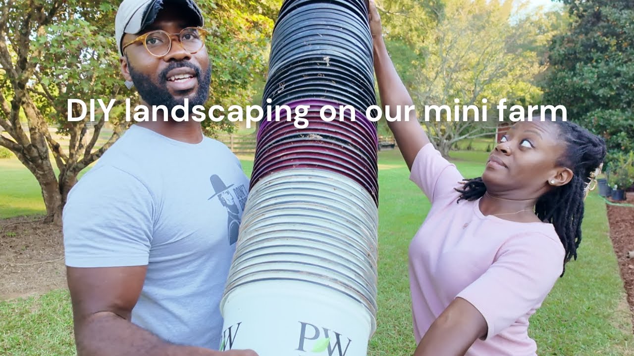 how we rebuilt our front yard landscape from scratch
