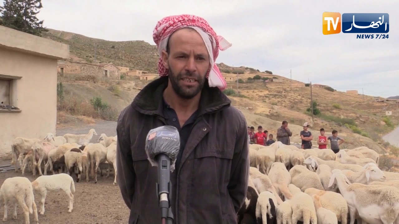 البويرة: أزمة مياه حادة تجتاح قرية الطرفاء النائية