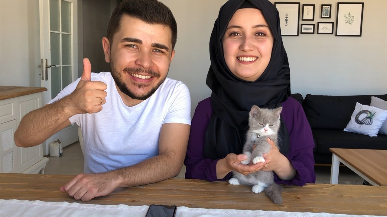 ASLA PİŞMAN OLMAYACAKSINIZ (Kedi malzemeleri, vitamin, Yaş Mama, Ödul Maması)