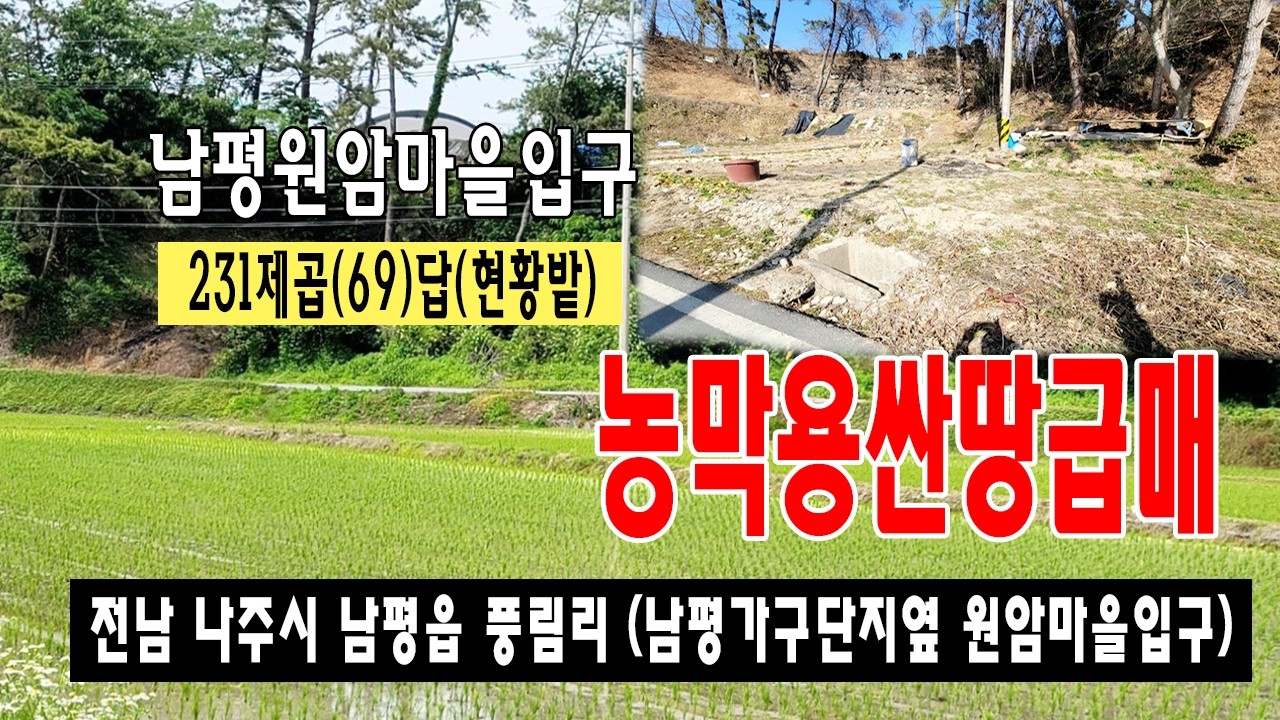 [26-019]전남 나주시 남평읍 원암마을 남평 가구단지 아래 남석길 남향에 접한 계획관리지역 소형토지 급매로 매매 합니다~