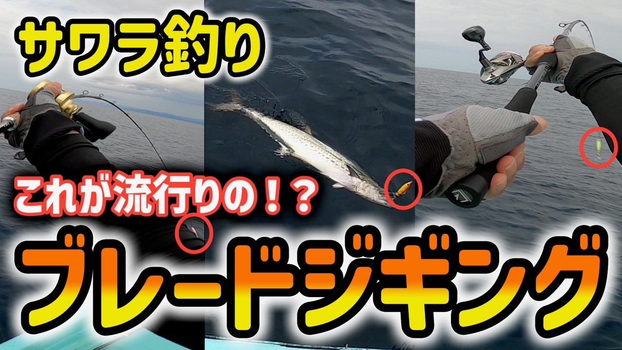 【ブレードジギング】実践！これが流行りのサワラ釣り！！【パックロッド】