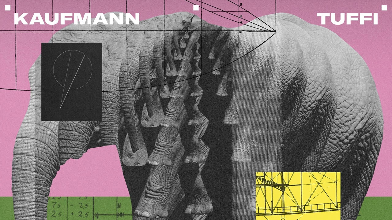 Kaufmann - Tuffi
