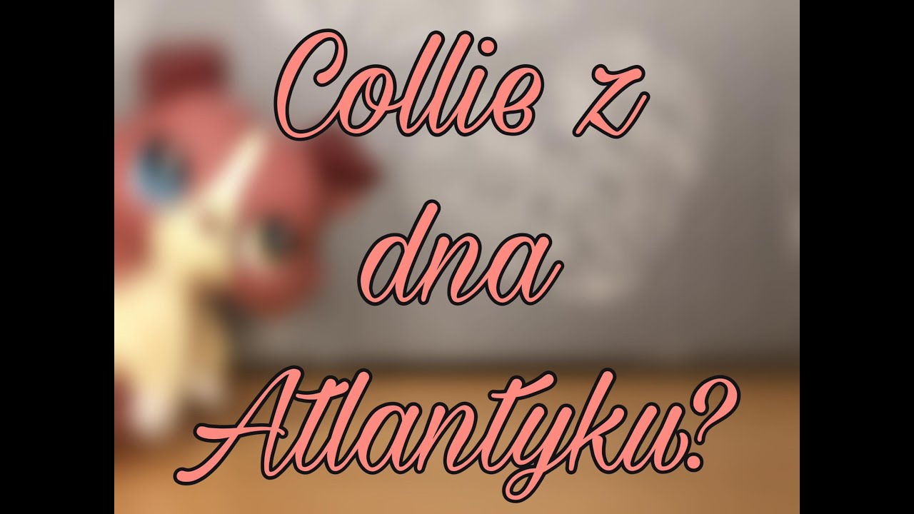 Littlest Pet Shop: Collie z dna Atlantyku?! Shopping#22