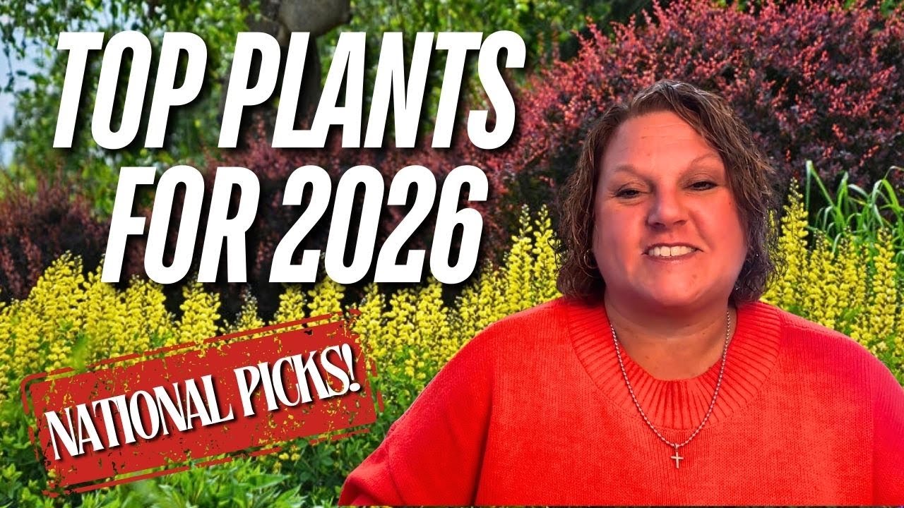 2026 Proven Winners Plants of the Year Are Here 🌿✨ | See This Year’s Must-Grow Picks