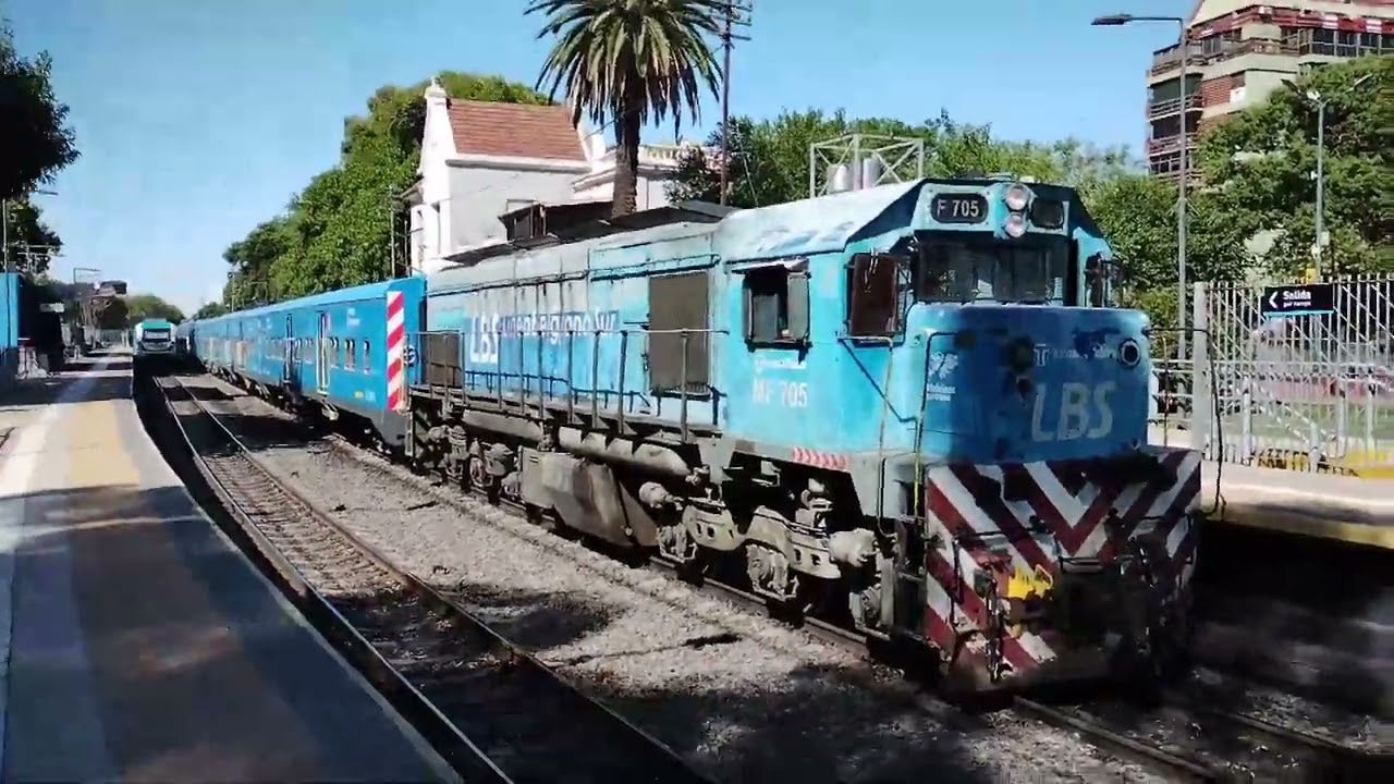 Linea Belgrano Sur entre los festejos del campe&oacute;n del mundo!!
