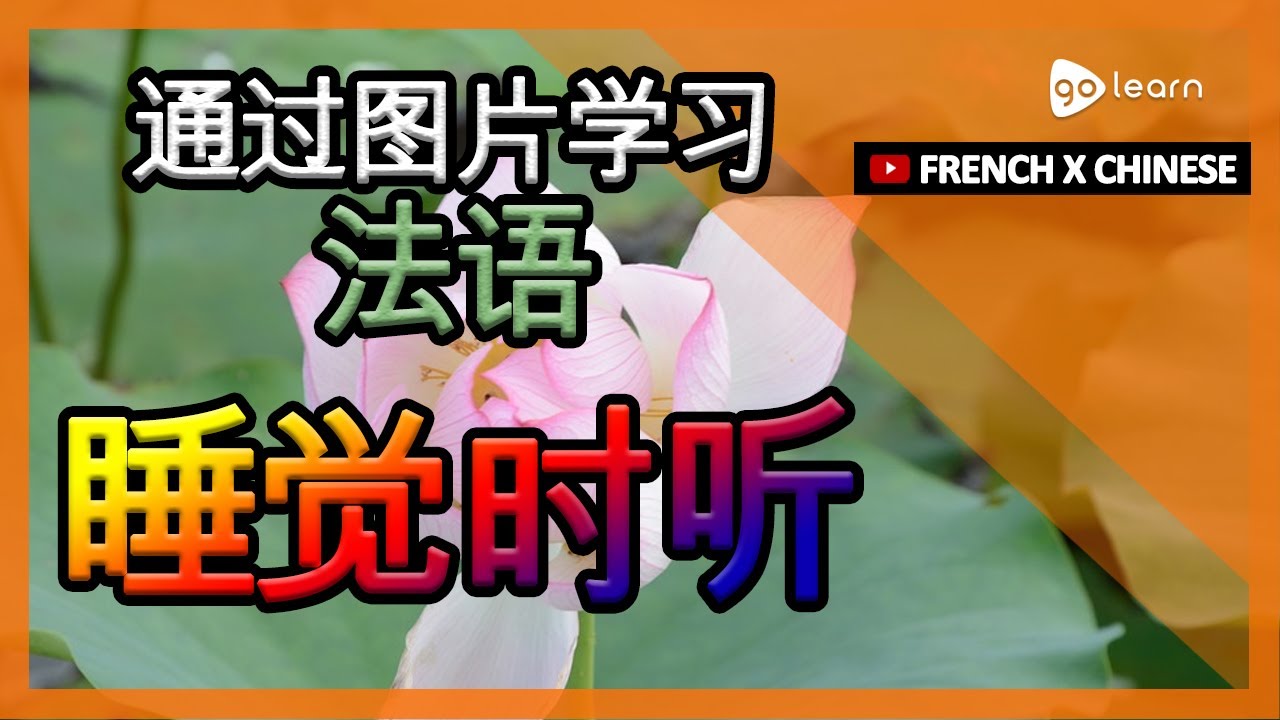 通过图片学习法语|法语词汇睡觉时听 | Golearn