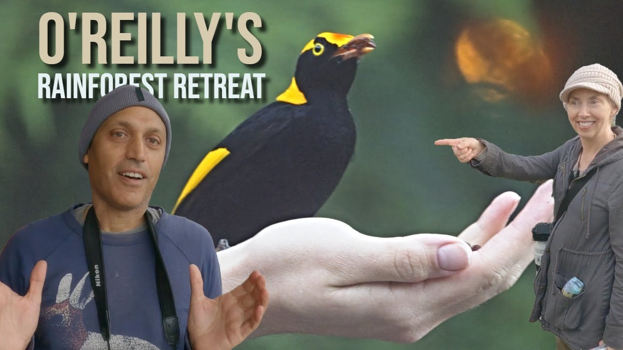 Tourist Trap or Must Visit Birding Destination?