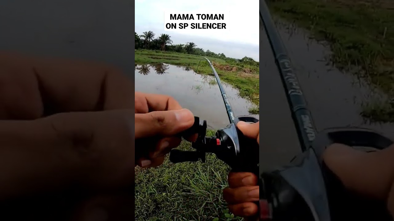 Aksi Mantap Mama Toman