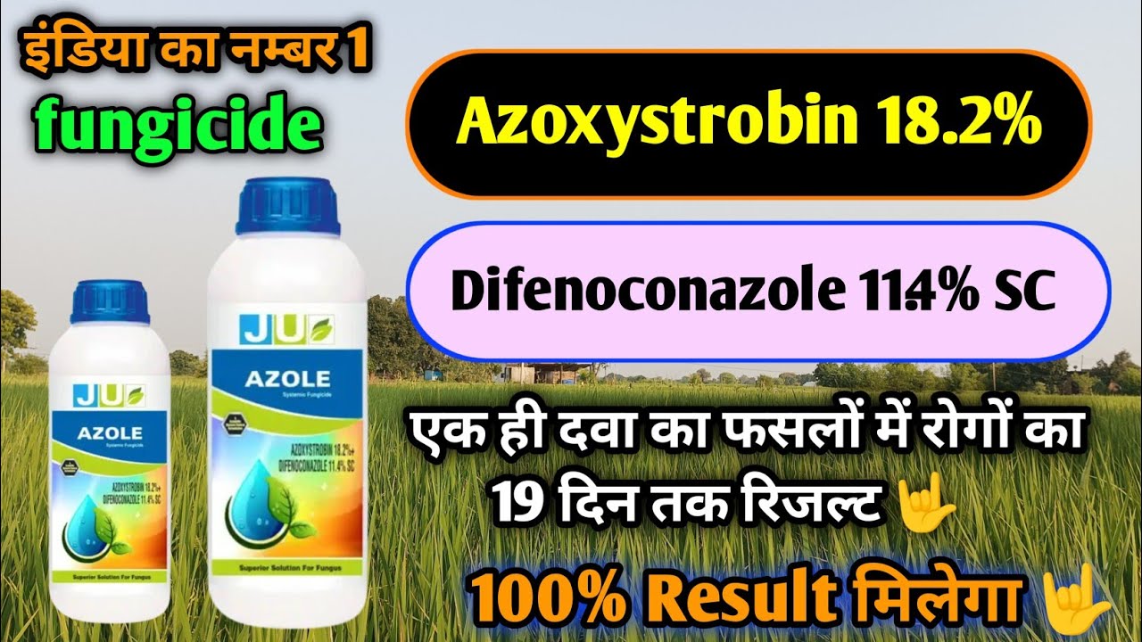 azoxystrobin 18.2% + difenoconazole 11.4% sc | azoxystrobin difenoconazole | azoxystrobin fungicide