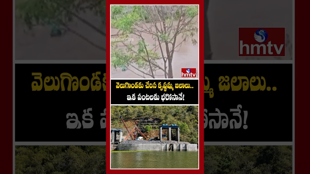 వెలుగొండకు చేరిన కృష్ణమ్మ జలాలు.. ఇక పంటలకు భరోసానే! | Veligonda Project | hmtv