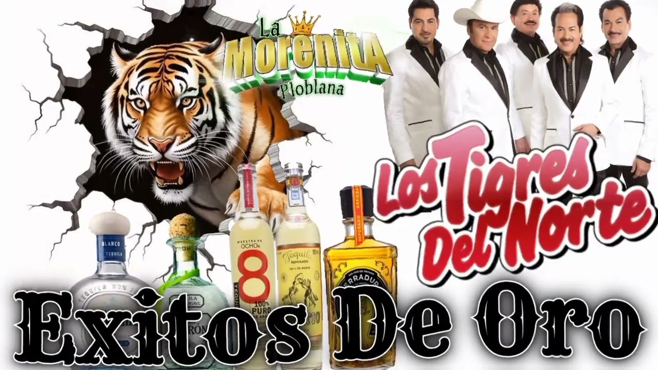 Puras pisteadoras los tigres del norte