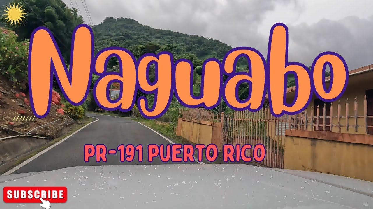 Naguabo, PUERTO RICO in 4K! Road 191 near El Yunque 2024