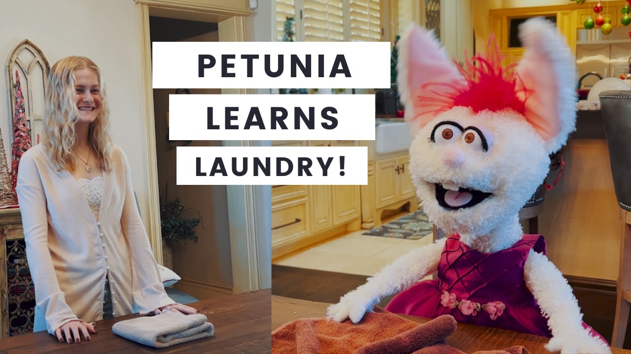 Darci Lynne: Petunia Learns Laundry