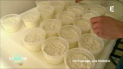 Le chèvre corse - Visites privées
