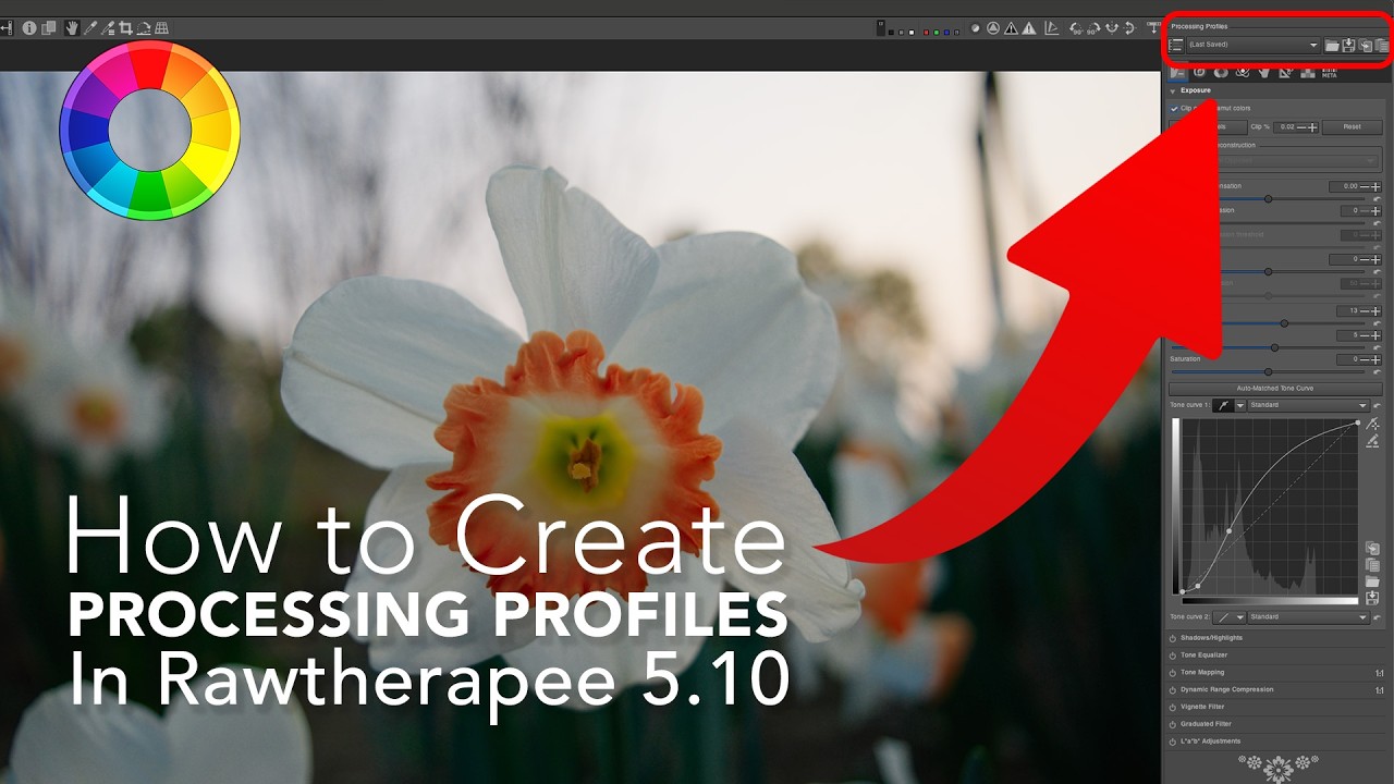 Custom Processing Profiles in Rawtherapee are CRAZY!