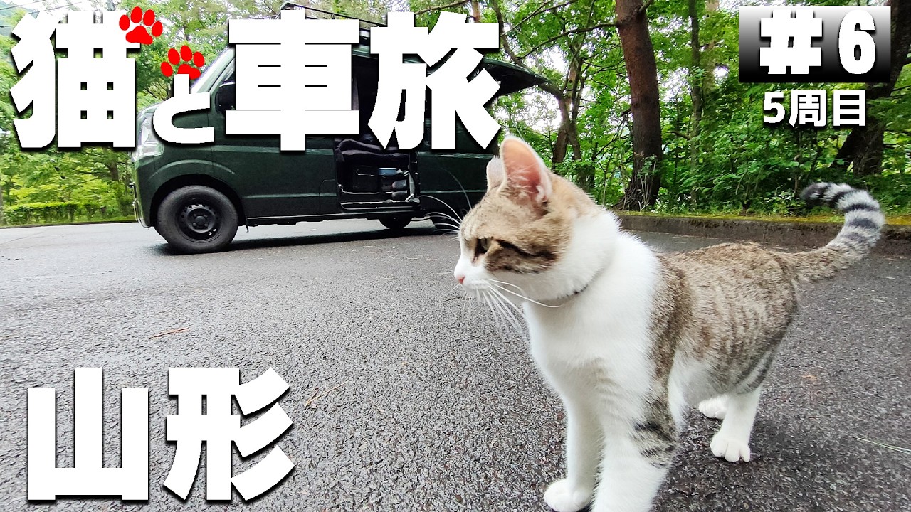 【#5-6】猫用GPS、めっちゃ良い物見つけた！山形の無料キャンプ場、鈴川公園馬見ヶ崎地区 ジャバランド→レークピア白水公園キャンプ場【猫と車中泊&キャンプ旅】
