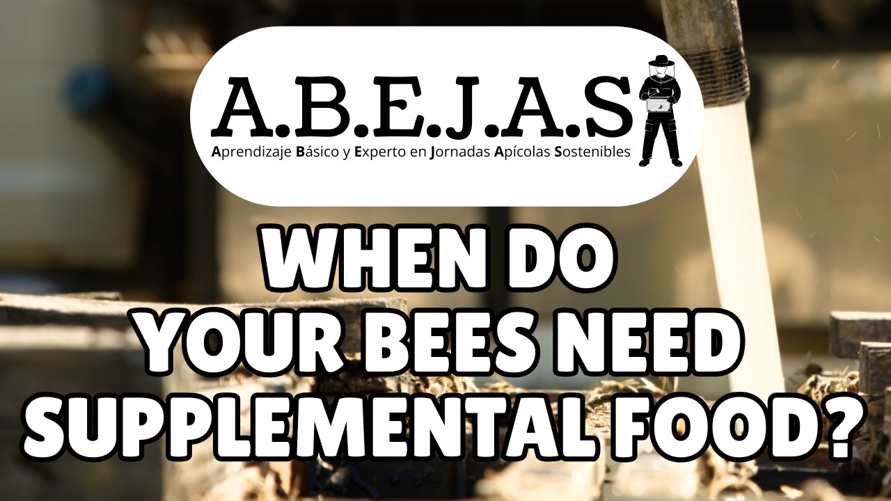 When do your bees need supplemental food? (ABEJAS Module 2.3)