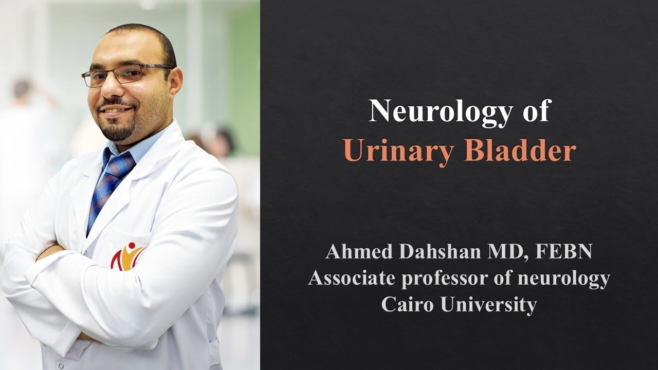 Neurology of Urinary Bladder - Dr/ Ahmed Dahshan