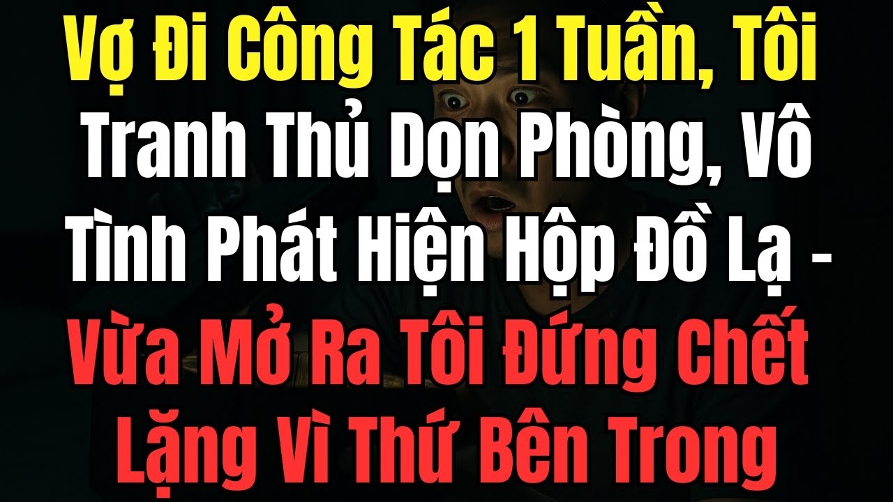 Vợ Đi Công Tác 1 Tuần, Tôi Tranh Thủ Dọn Phòng, Vô Tình Phát Hiện Hộp Đồ Lạ – Vừa Mở Ra Tôi Đứng